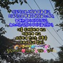 의도