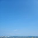 보성홀딩스(맘스마트) | 전남 보성 율포해수욕장 맛집 갯마을 횟집 후기