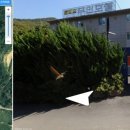 동정호무인호텔 이미지