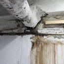 105-금촌2-105 | 금촌 하수구막힘 지하 식당 오수 역류! 끈질긴 물티슈 막힘, 완벽하게 해결한 후기