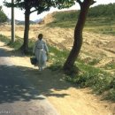 우리나라 1950년 ~ 1960년대 시골농촌 모습 이미지