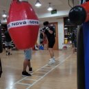 평촌 권투체육관 이미지