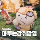 창미유치원 | 성수 마루는강쥐 팝업스토어 기적의별 굿즈 종류, 관람후기