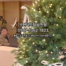 달리짐(DALLI GYM) | [남천역 헬스장] 스탠다드짐 남천점