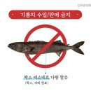 메로 이미지
