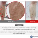 우리항맥외과의원 이미지