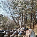 종부로 보건의료연합신문
