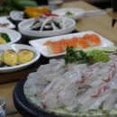 회신물회