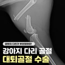 24시 라인동물의료센터 이미지