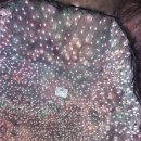 거제식물원 | 거제도 가볼만한 곳 <거제식물원> 방문 후기