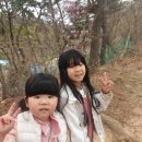 KAT태권도 이미지