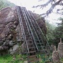 함안 명관리 공룡발자국 이미지