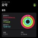 앗싸 곱창
