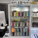 진영2호 이미지