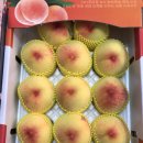 못골청과 네이버블로그
