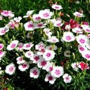 좋은만남 이미지