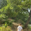 명일근린공원(상일동산) 이미지