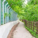 천도리양지마을 이미지