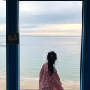 서해를품다 | 인생 노을을 만나다: 서해 바다의 파노라마, 만리포 전망타워