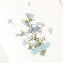 그린스티커인쇄