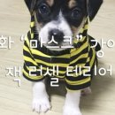 JJ hair(제이제이헤어)