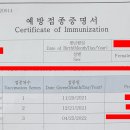 [입국수속] 뉴질랜드 입국, 백신접종 우리 아이들은 어떻게 하나? [타우랑가 비전유학원] 이미지