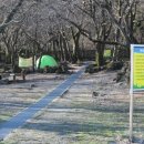 제주동문수산시장 이미지