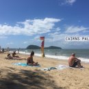 자연 팜 이미지