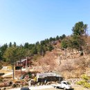 노산팔경캠핑장;관광농원 이미지
