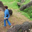 운봉읍 삼산마을 이미지