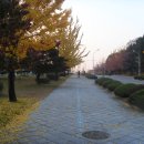 충남대학교 버스정류장 티스토리