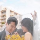 모네스튜디오