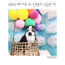 케이디펫 | ‘펫박람회’ 2023 케이펫페어 메가주in일산킨텍스 오픈런후기,관람후기