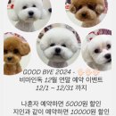 비마인 독 이미지