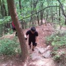 웰리스 클리닉 이미지