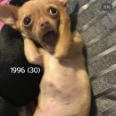 원식이네손칼국수 | Good bye 2025