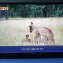망고 PC 이미지