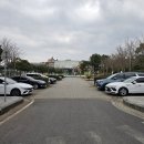 MG새마을금고 건너편 이미지