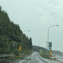 자동차친구 | 일본 자동차 여행 고속도로 휴게소 식당 이용 후기