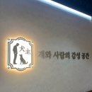 유*곤 | 내돈내산 | 강아지가 가득하다는 인스타로 유명한 김포 구래동 애견카페 ‘시바노우치’