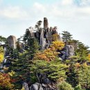 남산 이미지
