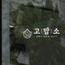 한우생고기 이미지