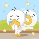 외안 이미지