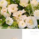 꽃꽃이 고급 이미지