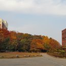 경구고등학교 이미지