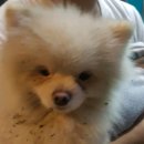 태전교 이미지