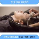 안순자헤어닥터
