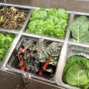 한양고깃집비전점 이미지