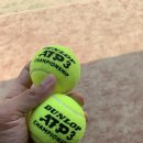 운동장화장실(남쪽) 이미지