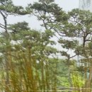 마곡나루카페 플라워플로우,대형 식물원 카페 신상은 신상인데 (솔직 후기)